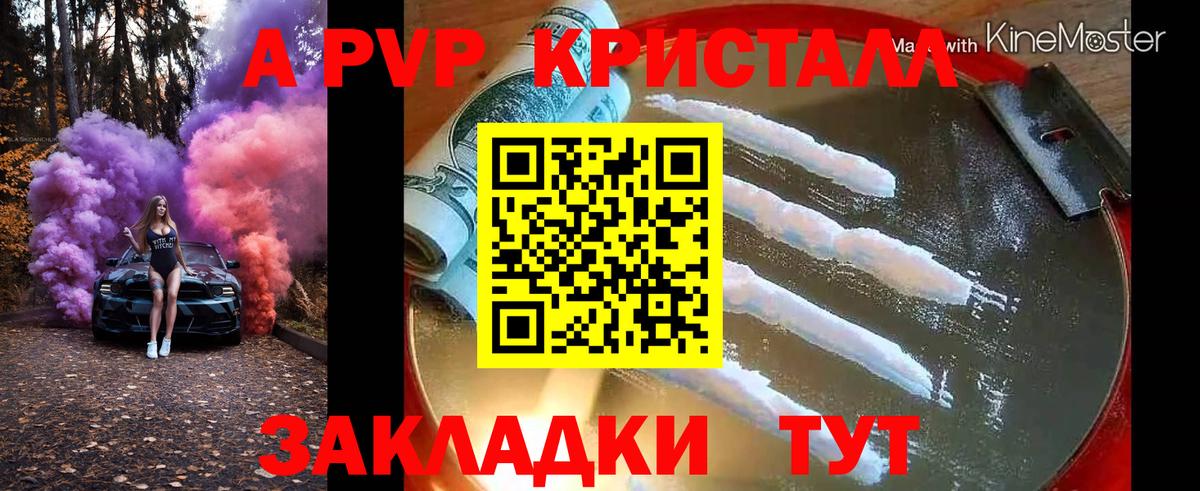 Альфа ПВП СК Россия