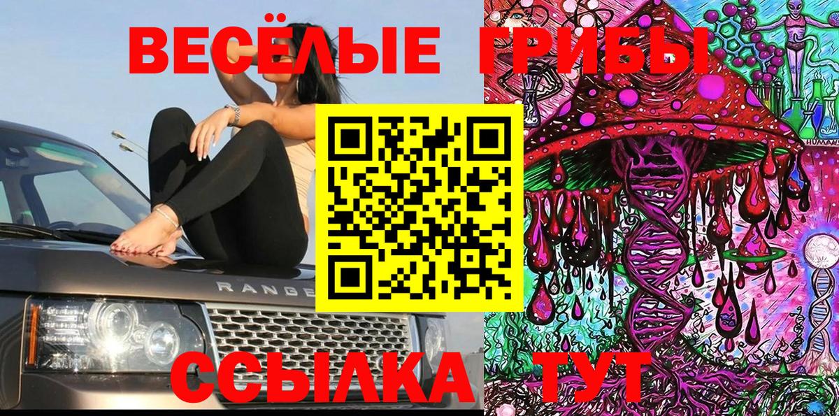 Россия  Псилоцибиновые грибы MAGIC MUSHROOMS  Вход с VPN  что такое наркотик  Галлюциногенные грибы MAGIC MUSHROOMS 