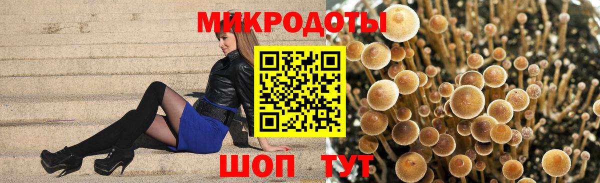 Псилоцибиновые грибы Magic Shrooms Россия